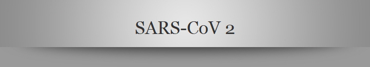 SARS-CoV 2
